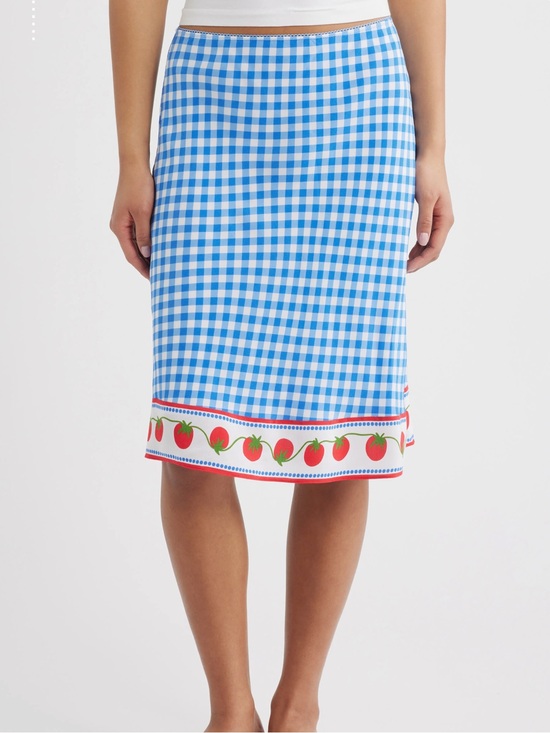 Rails Dresses & Skirts - Rails X Giadzy Grazia Print Skirt